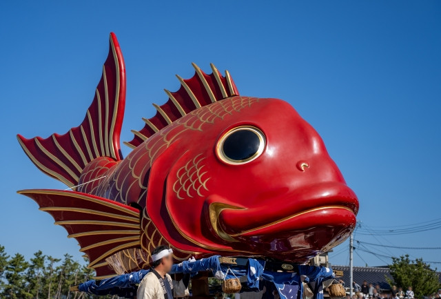 karatsu kunchi sea bream float 